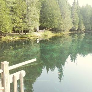 Meet your Posher, Becka